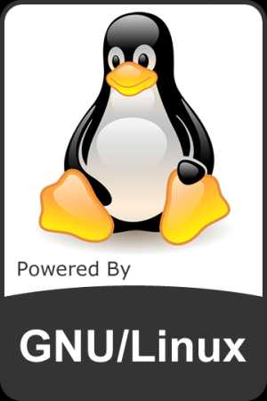 GNU / Linux